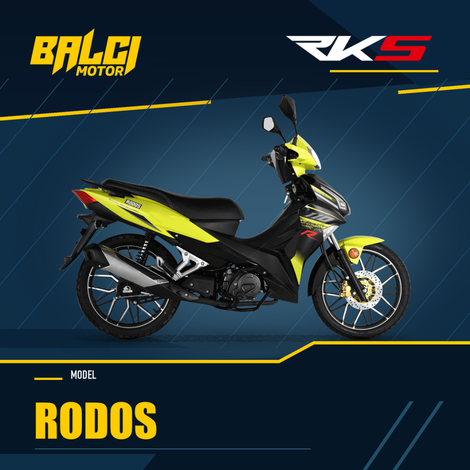 RKS - RODOS - CUB