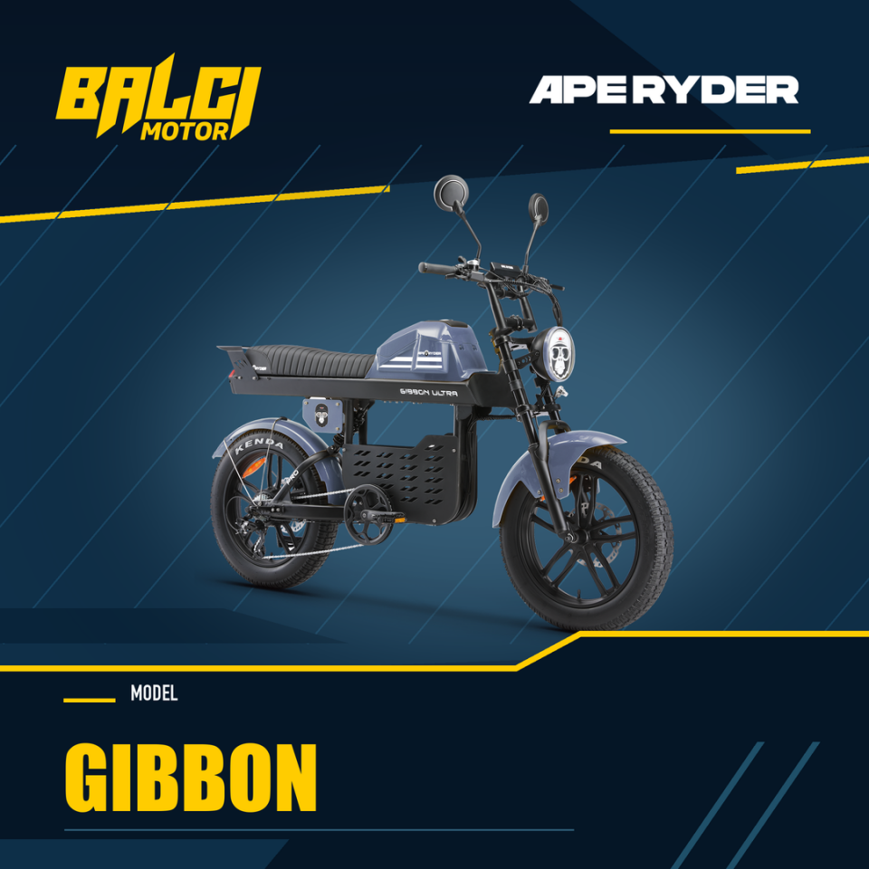 APE RYDER - GIBBON